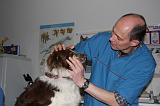 AUSCULTATION 262